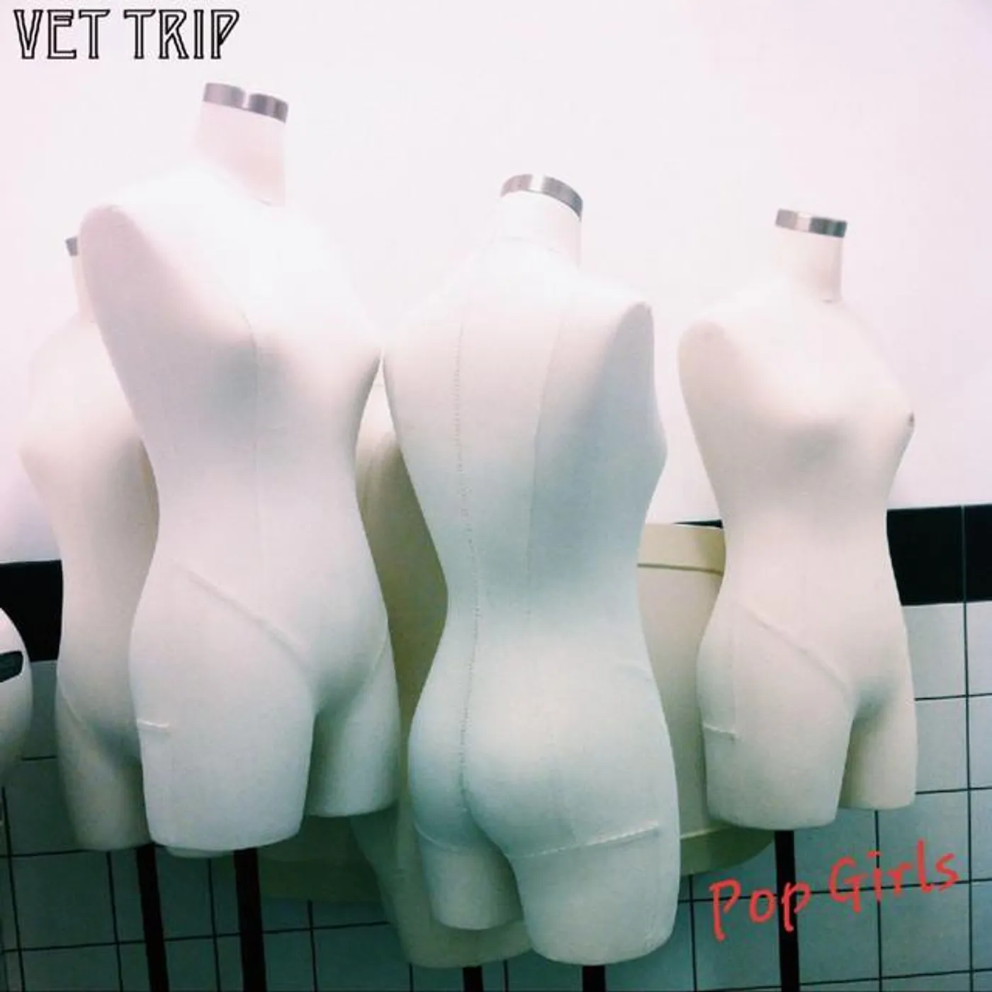 Vet Trip