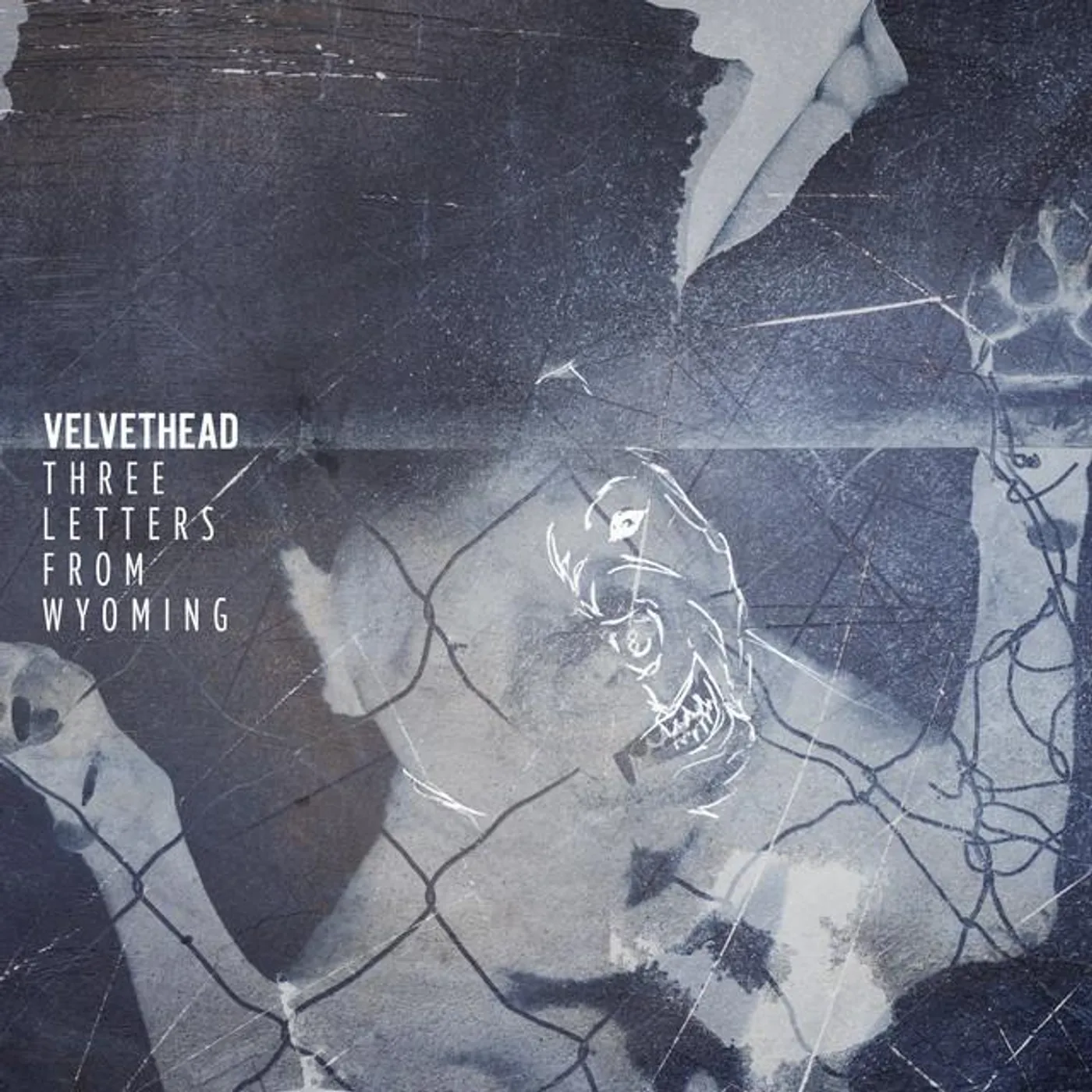 Velvethead