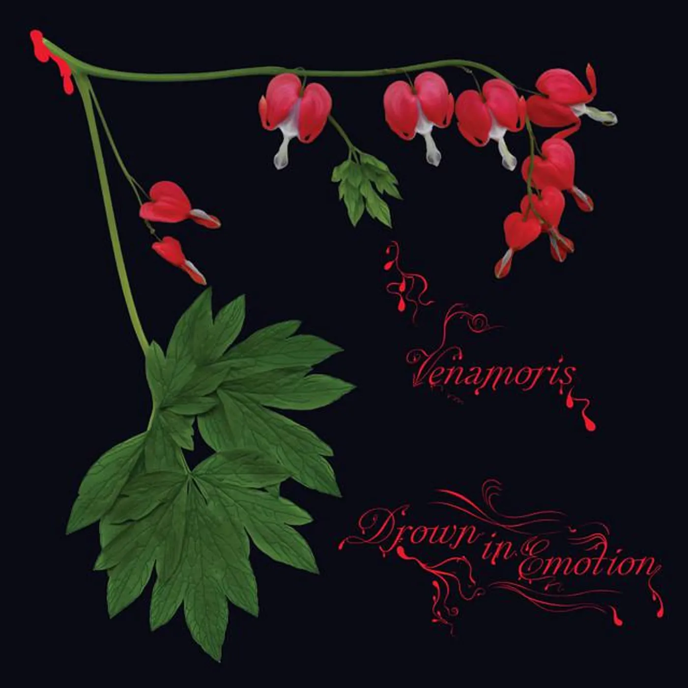 Venamoris