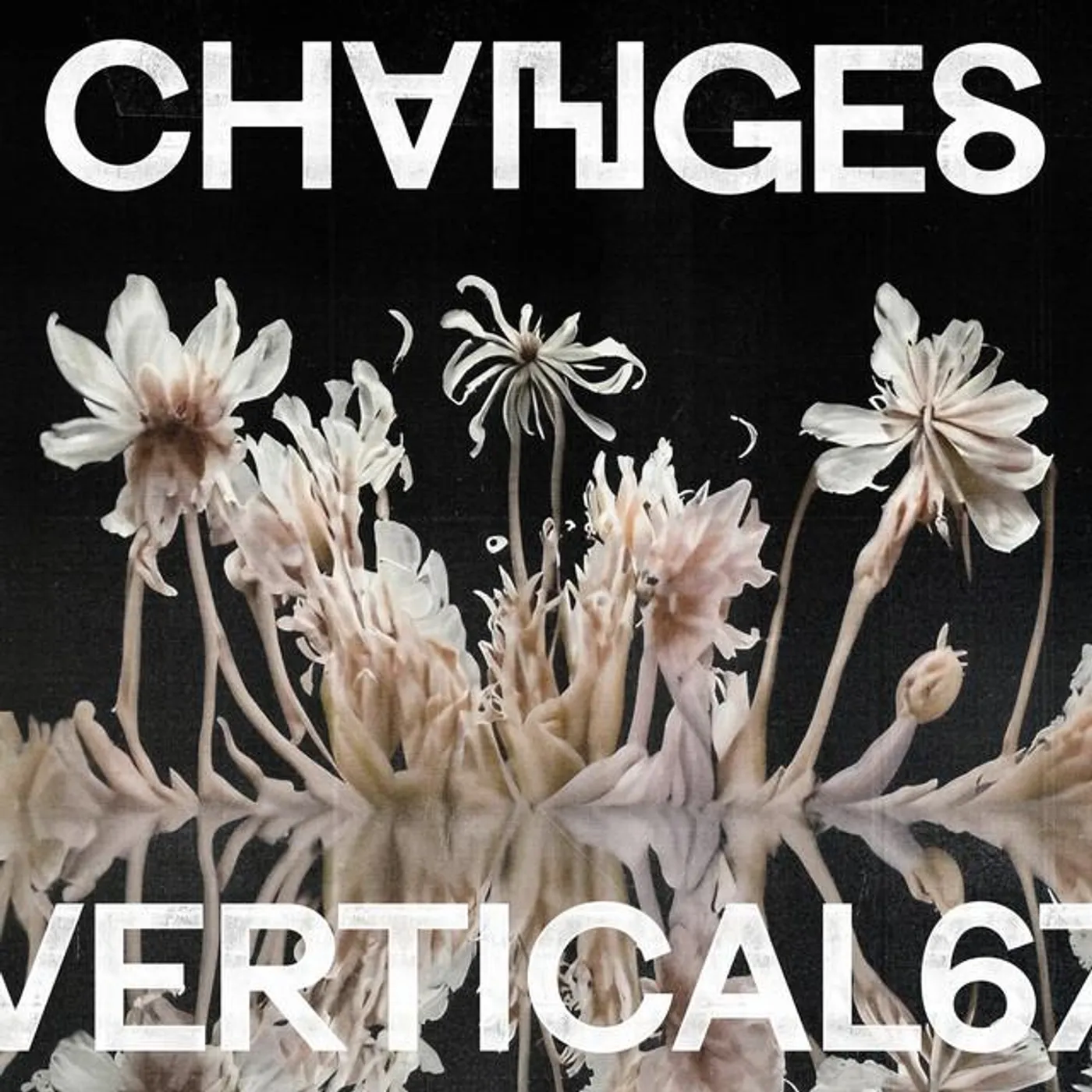 Vertical67