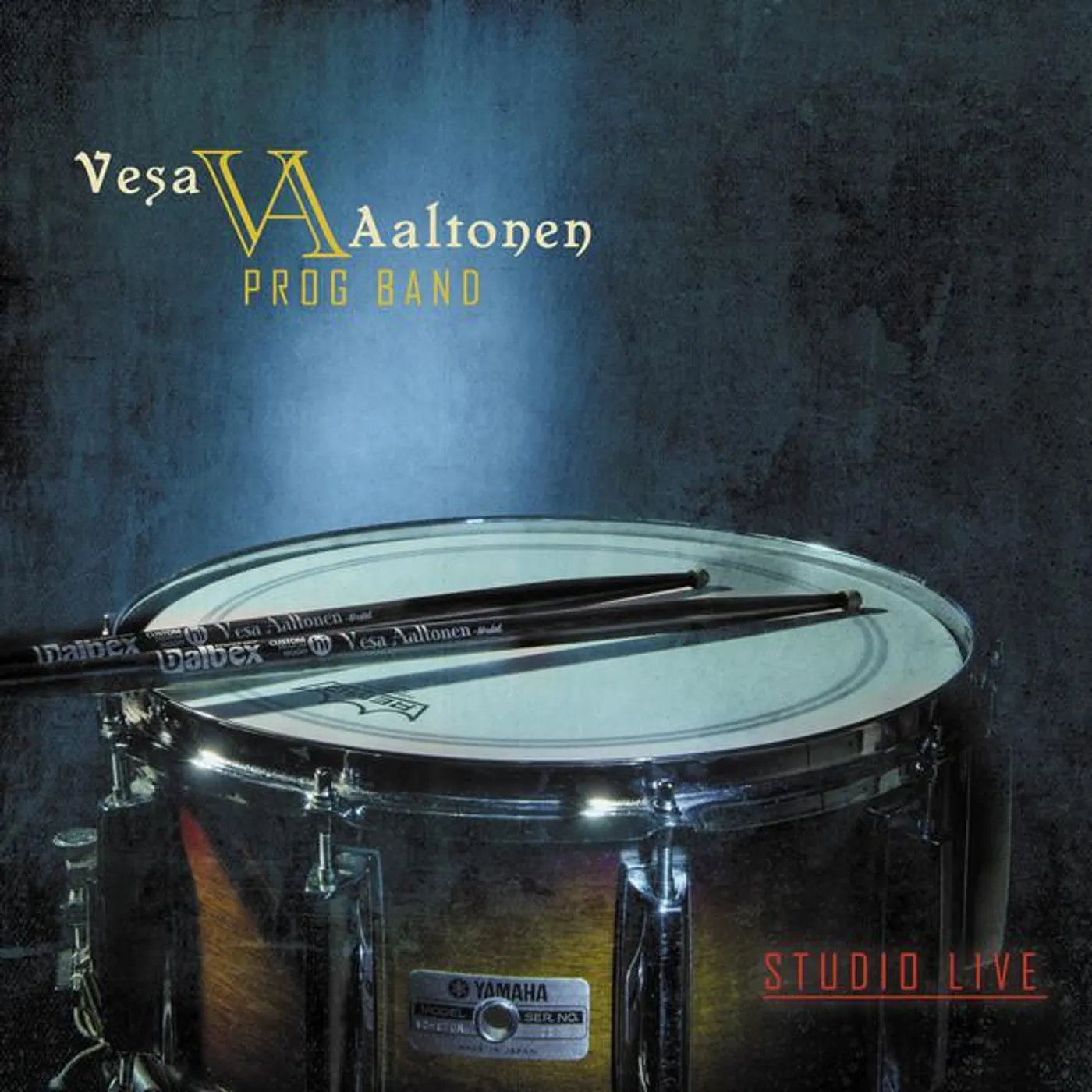 Vesa Aaltonen Prog Band Brand Page