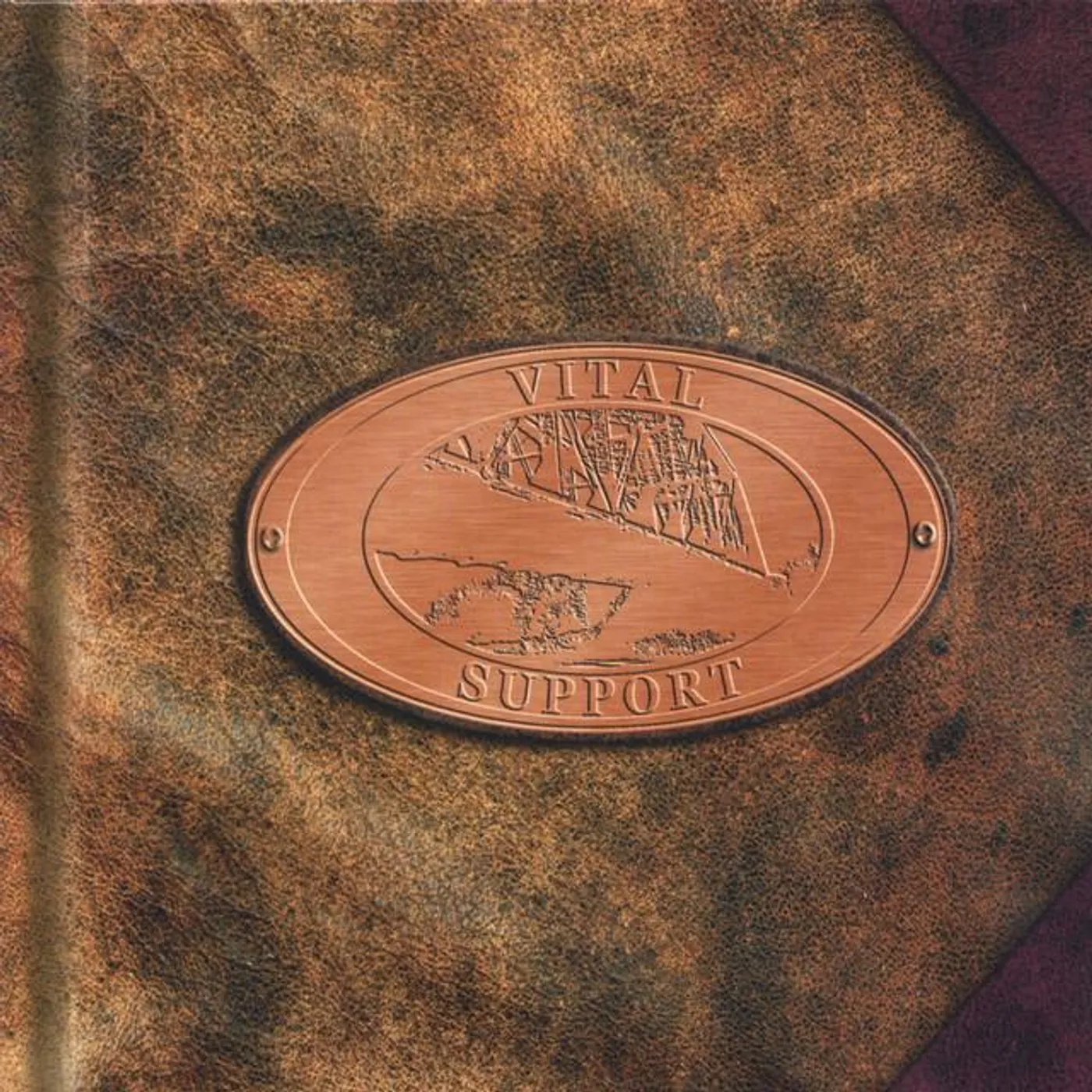 Vital Support Brand Page