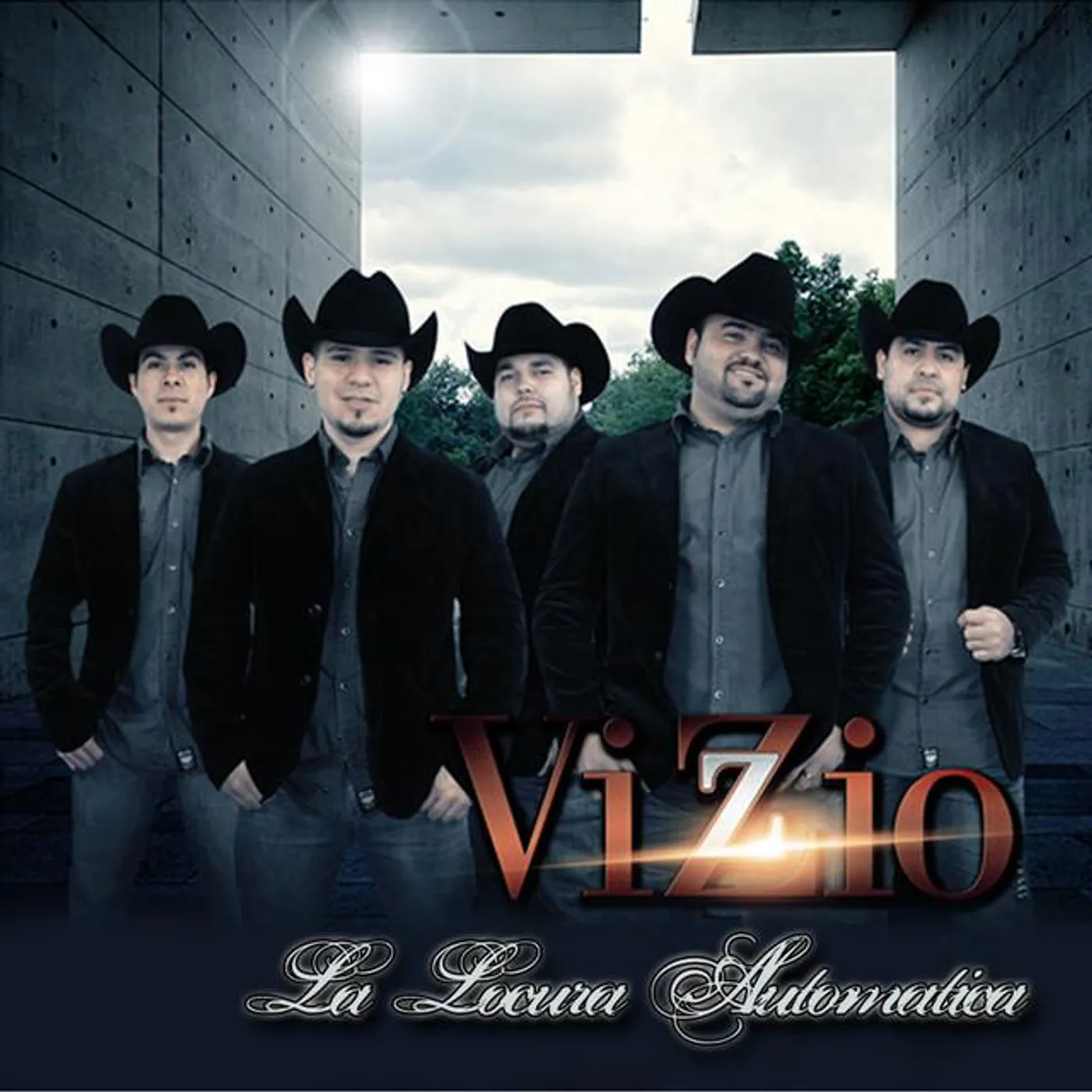 Vizzio Brand Page
