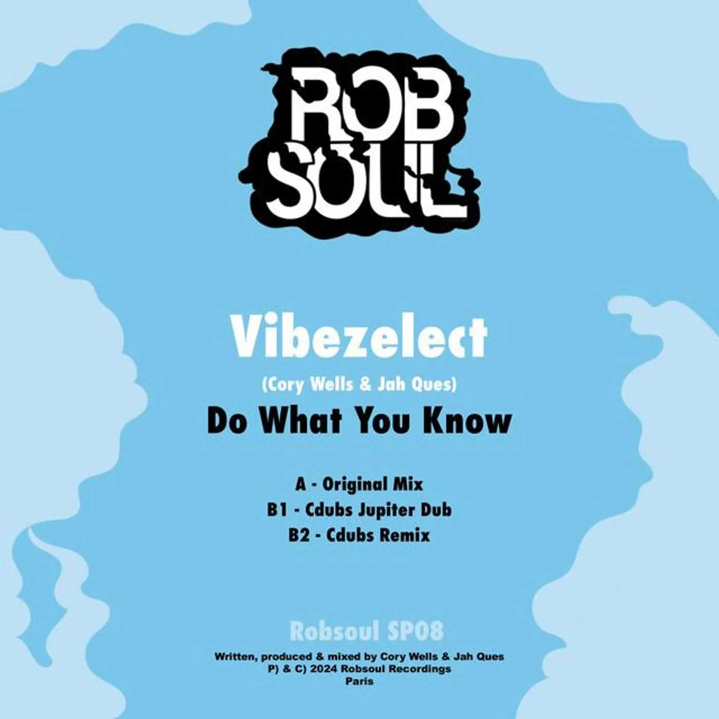 Vibezelect