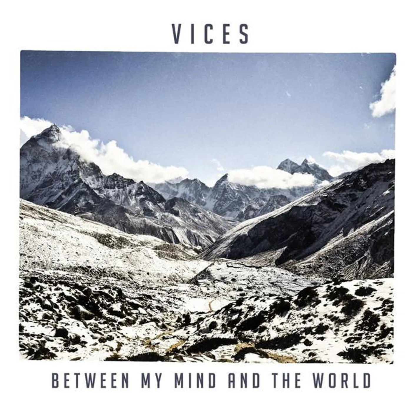 Vices