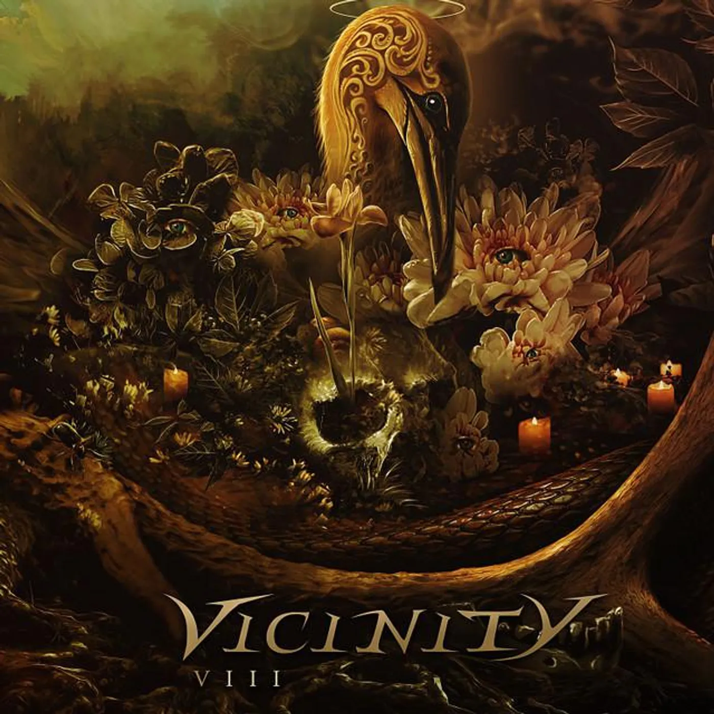 Vicinity Brand Page