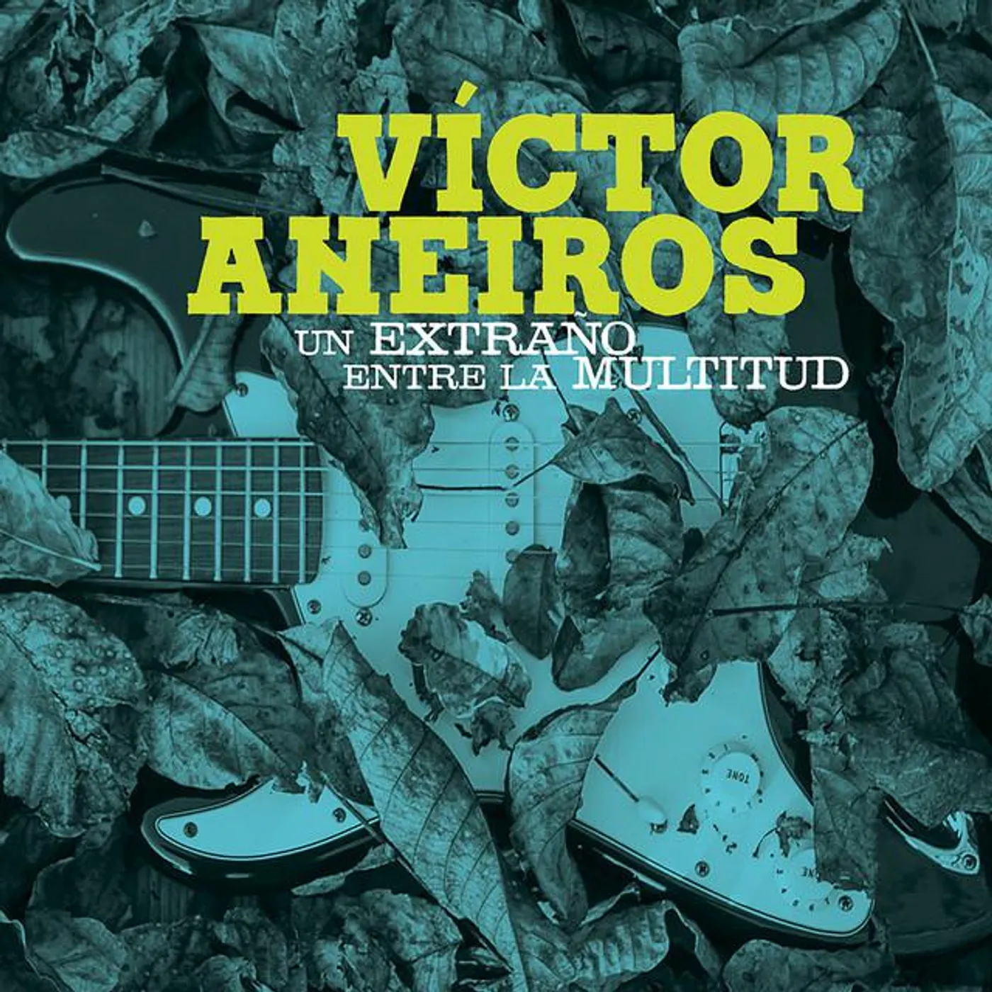 Victor Aneiros