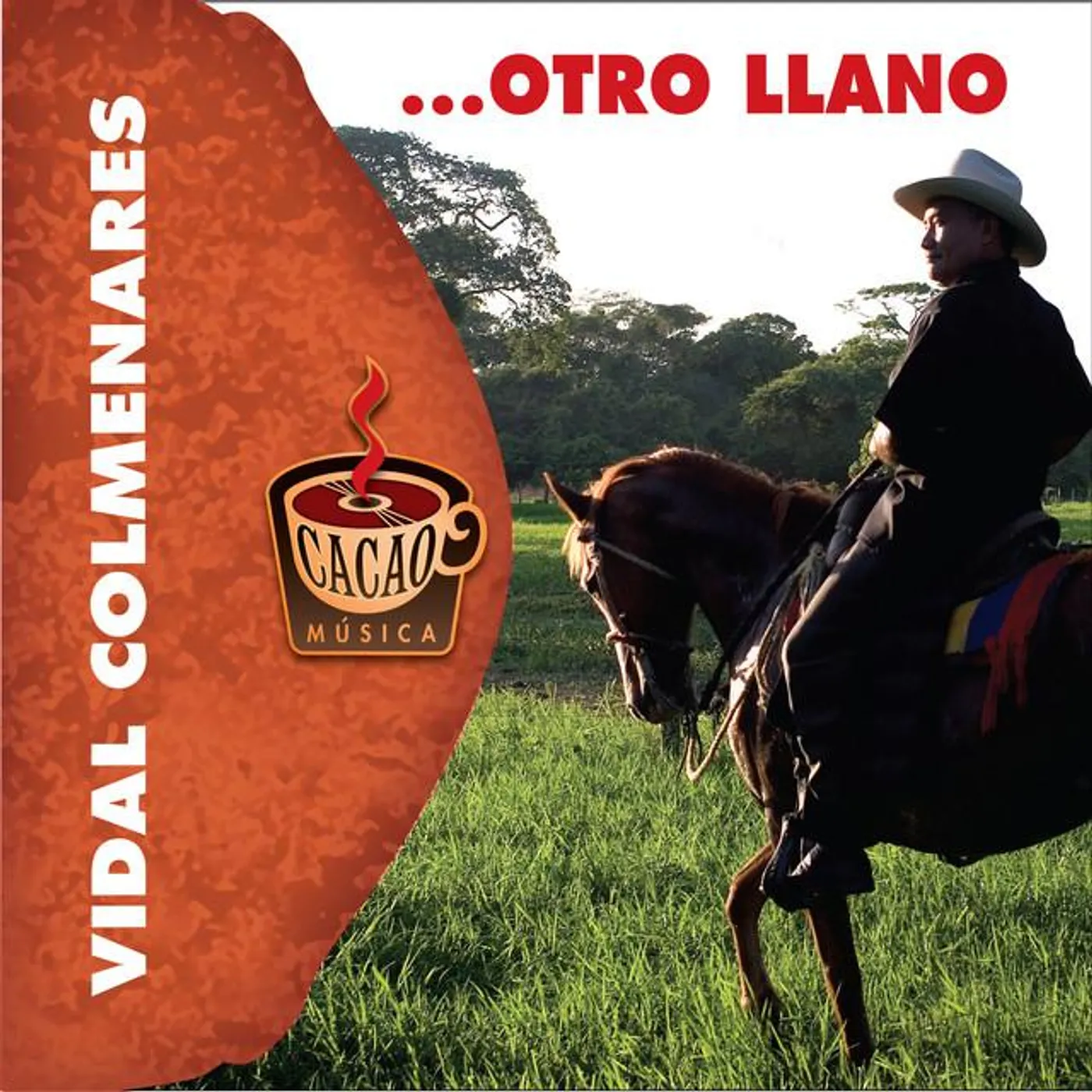 Vidal Colmenares