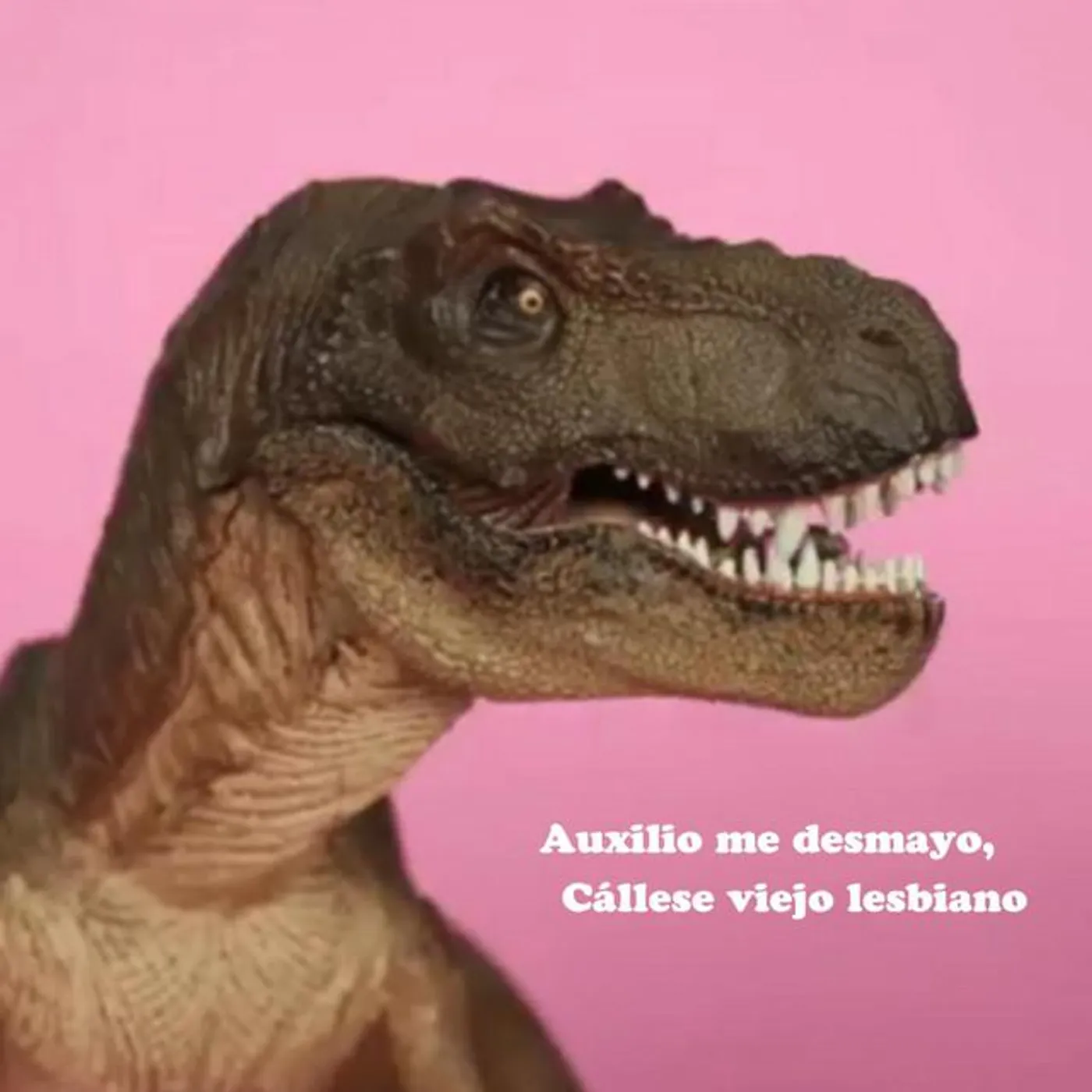 Viejo Lesbiano Brand Page
