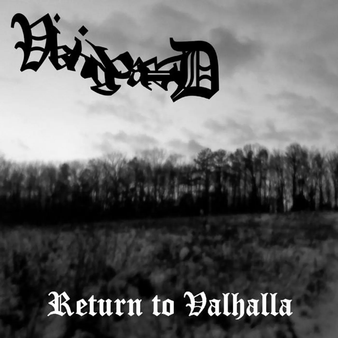 Vikingbard