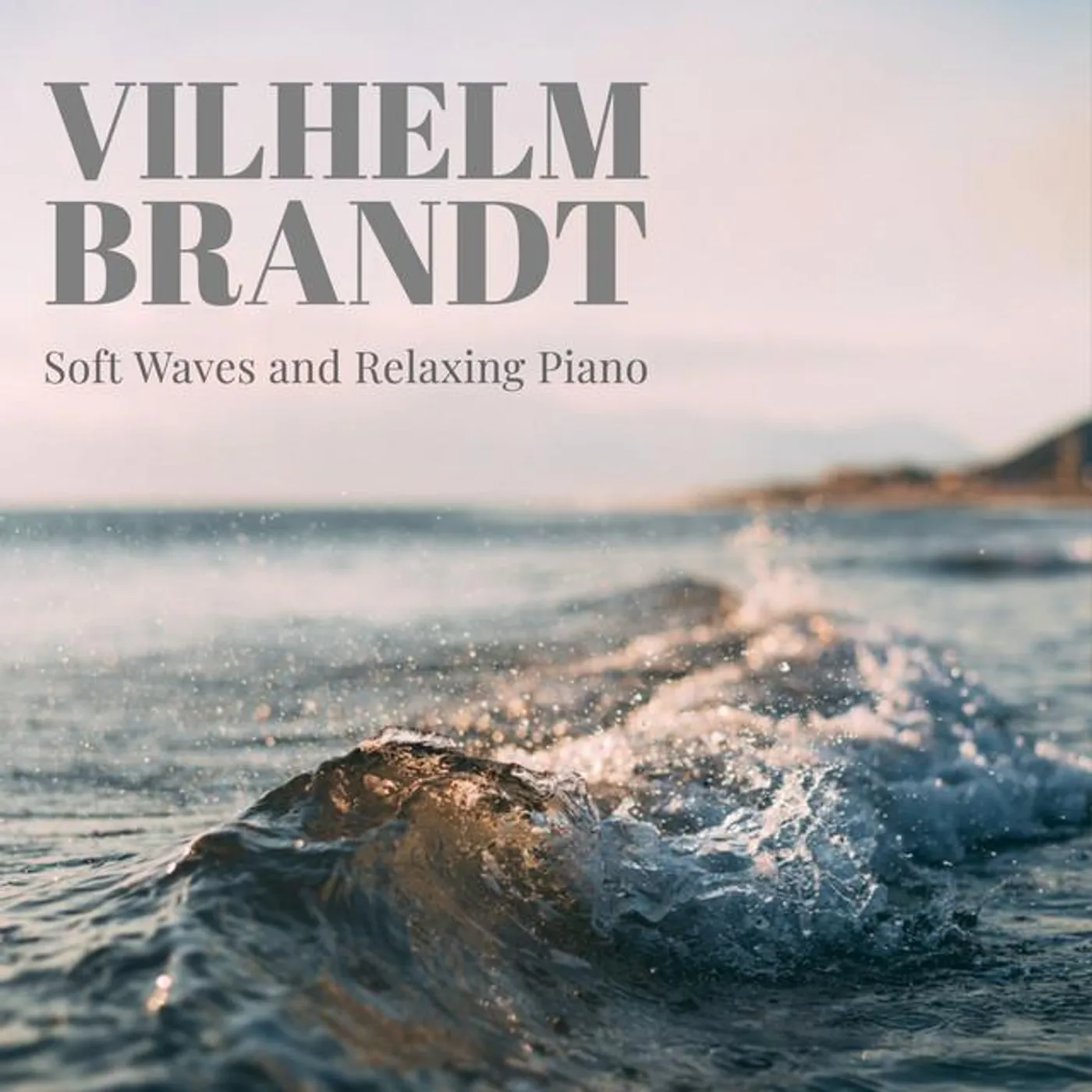 Vilhelm Brandt