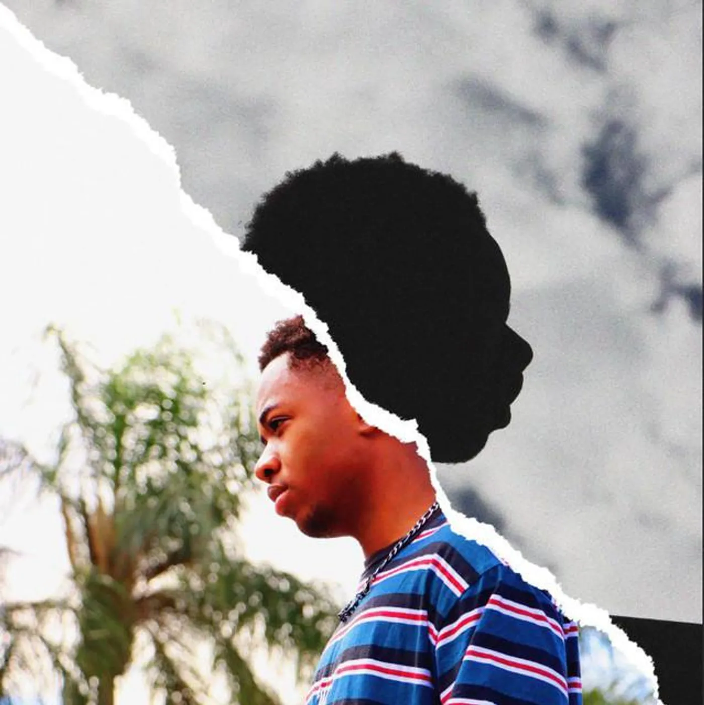Vince the Kid