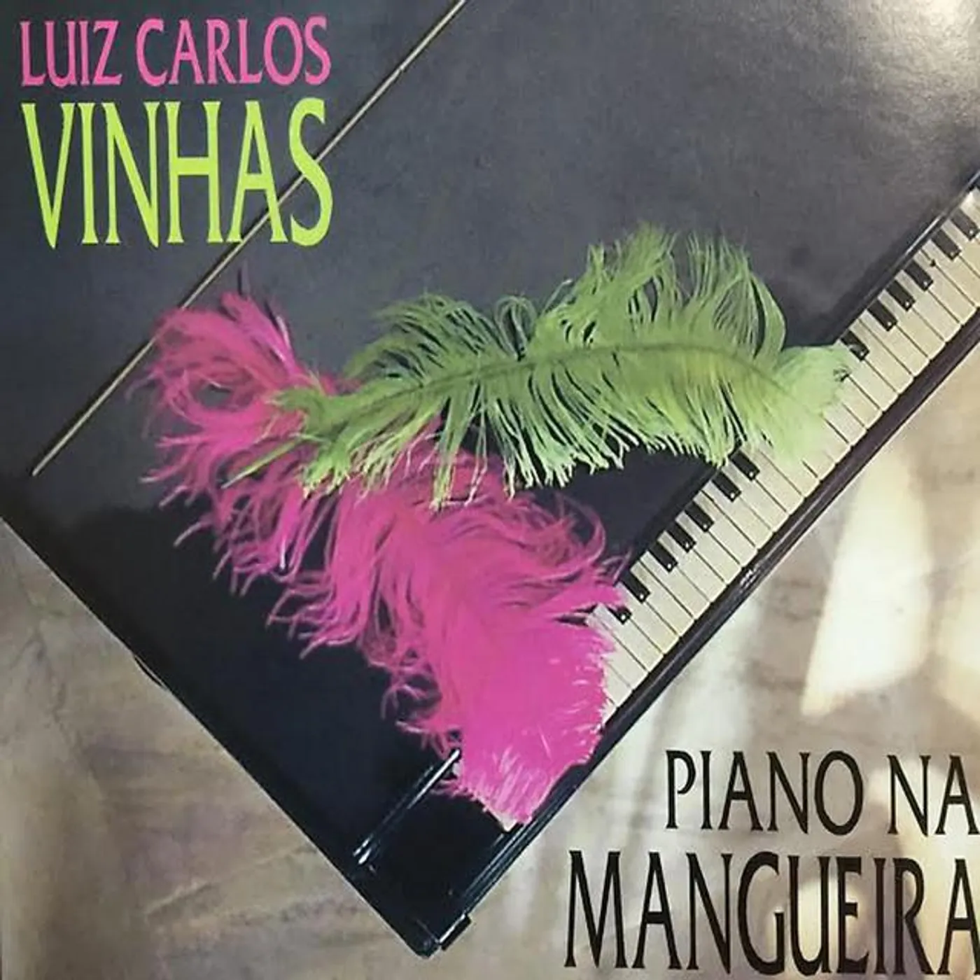 Luiz Carlos Vinhas Brand Page