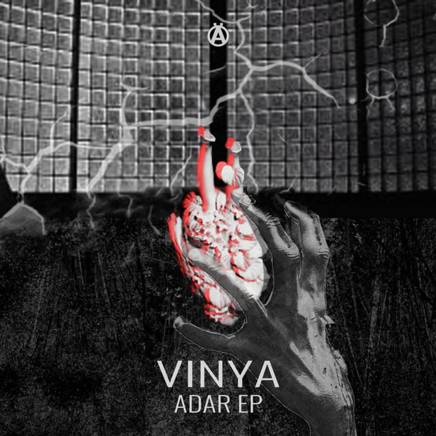 VINYA Brand Page