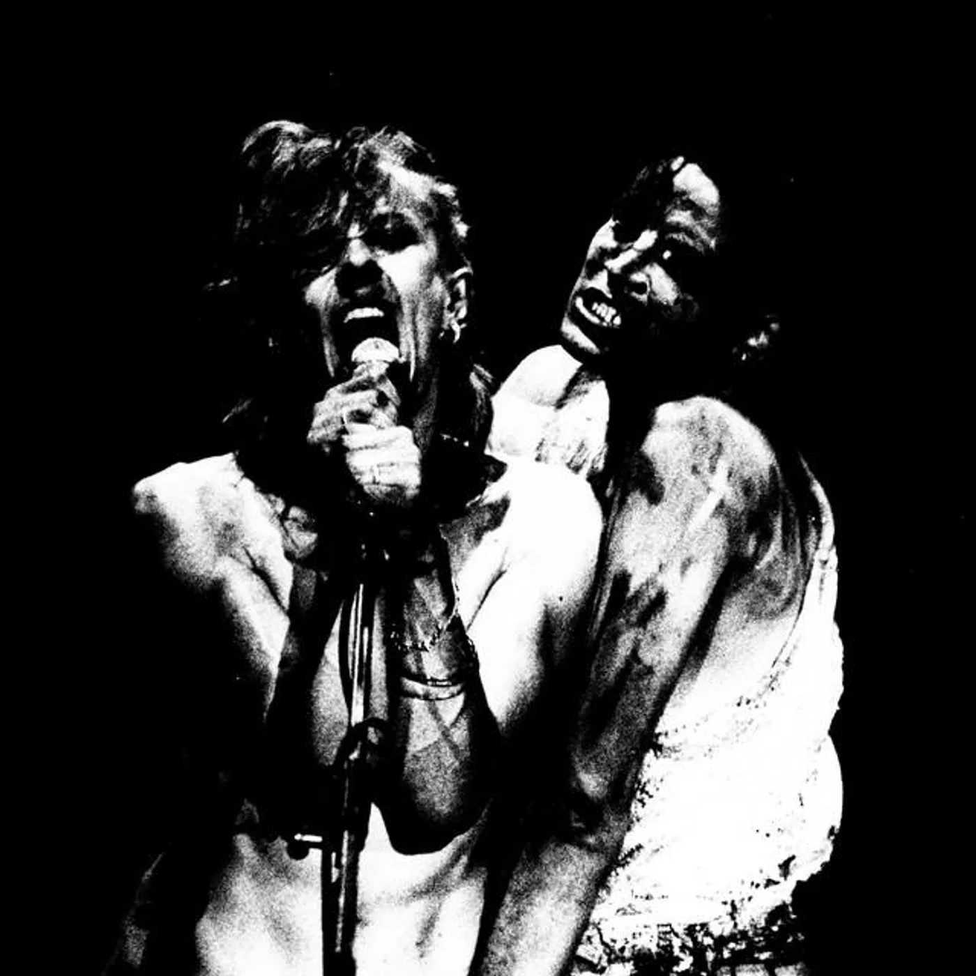 Virgin Prunes Brand Page