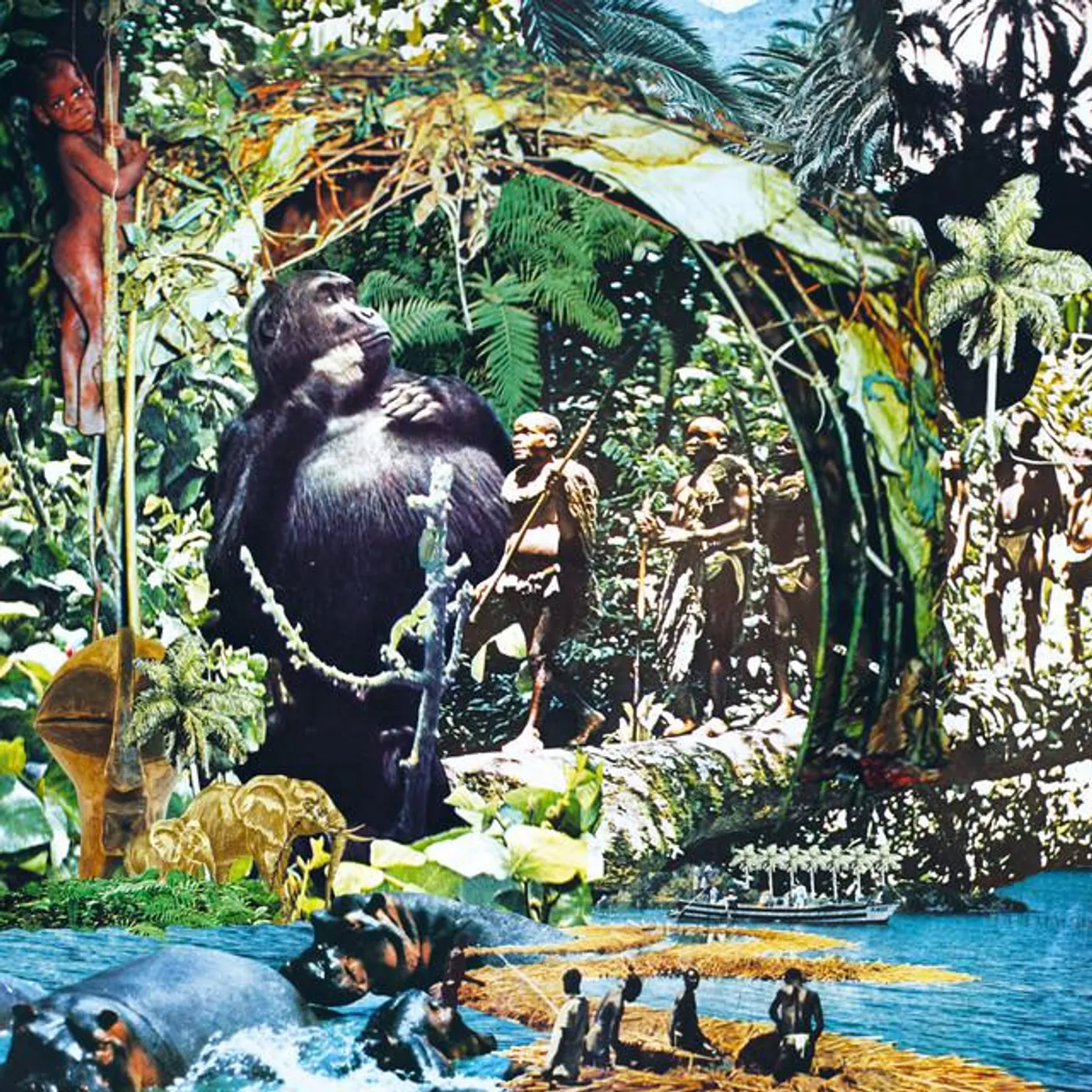 Visions Congo