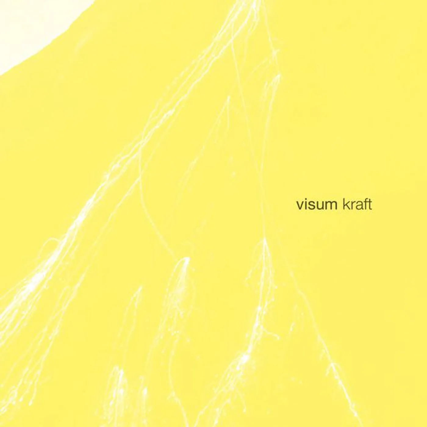 Visum