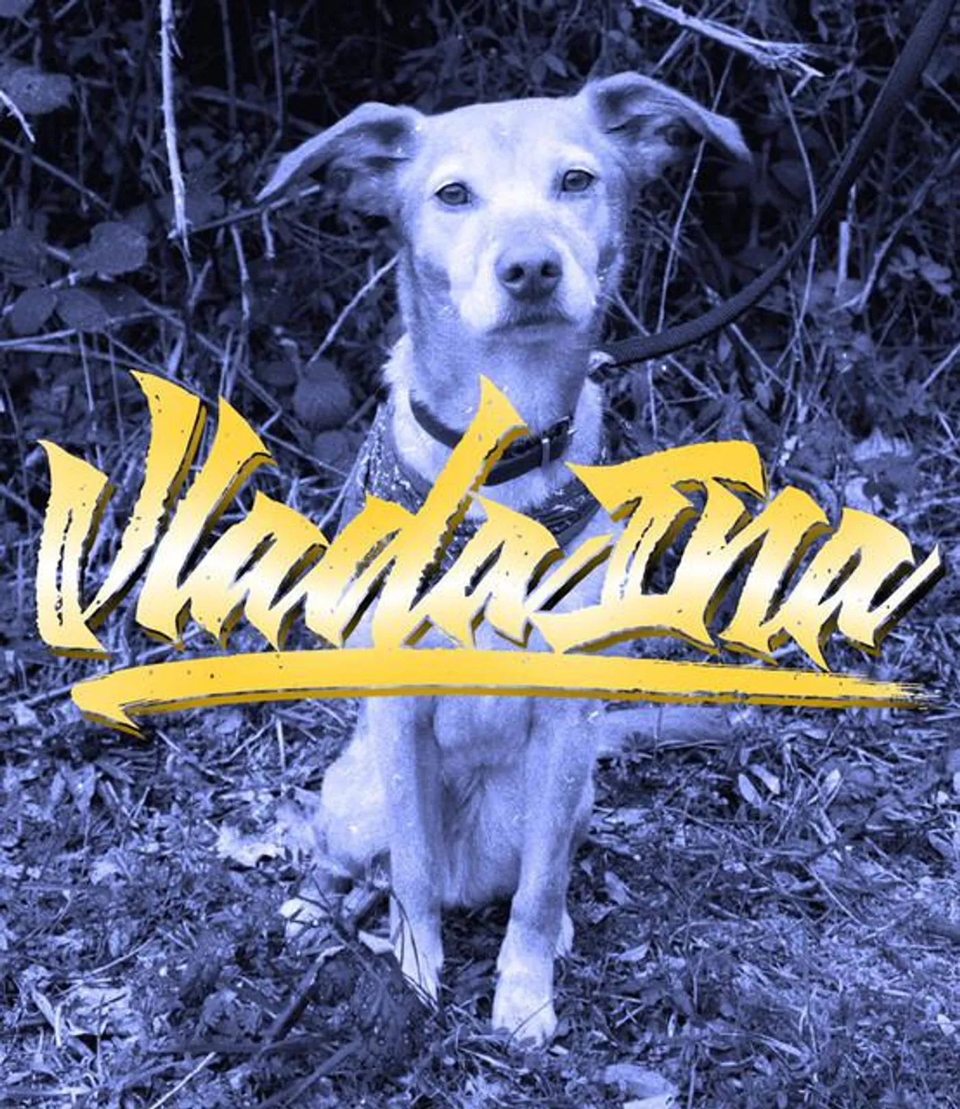Vlada Ina