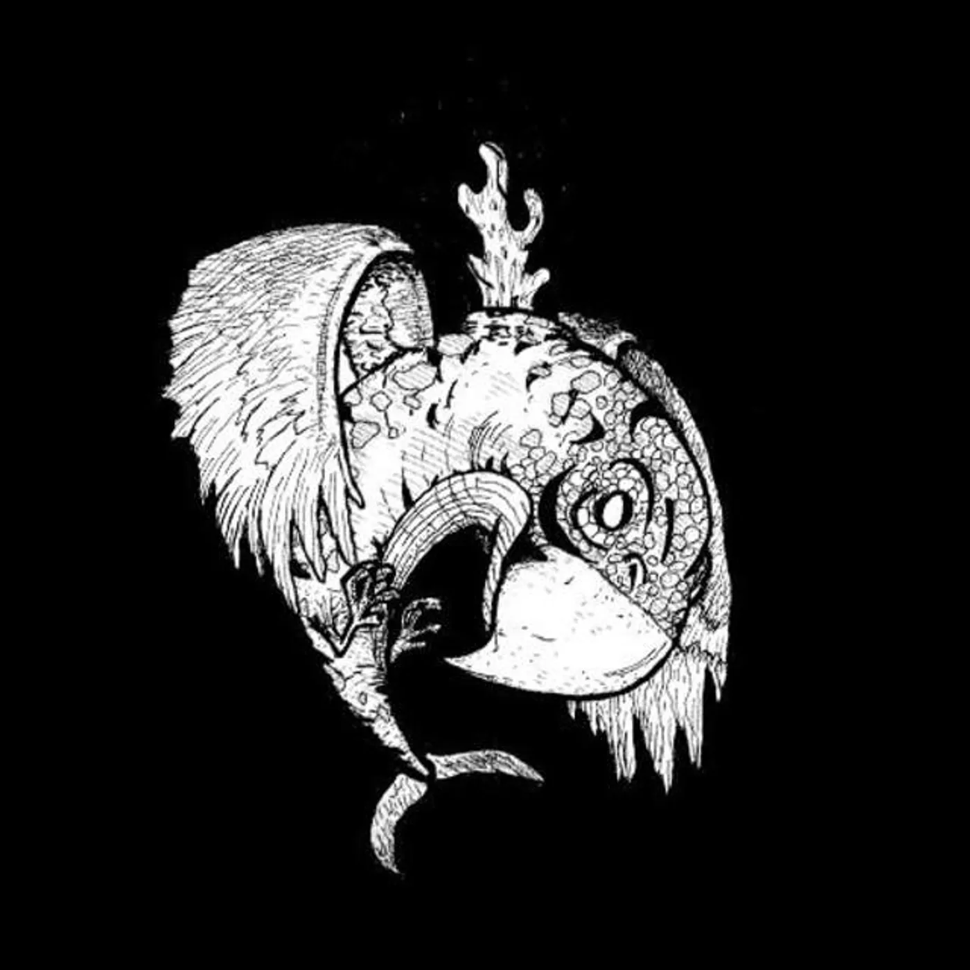 Vulture Whale Brand Page