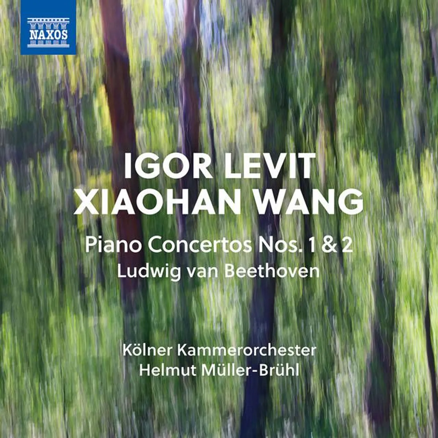 Xiaohan Wang
