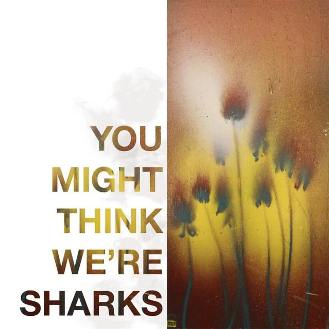You Might Think We're Sharks