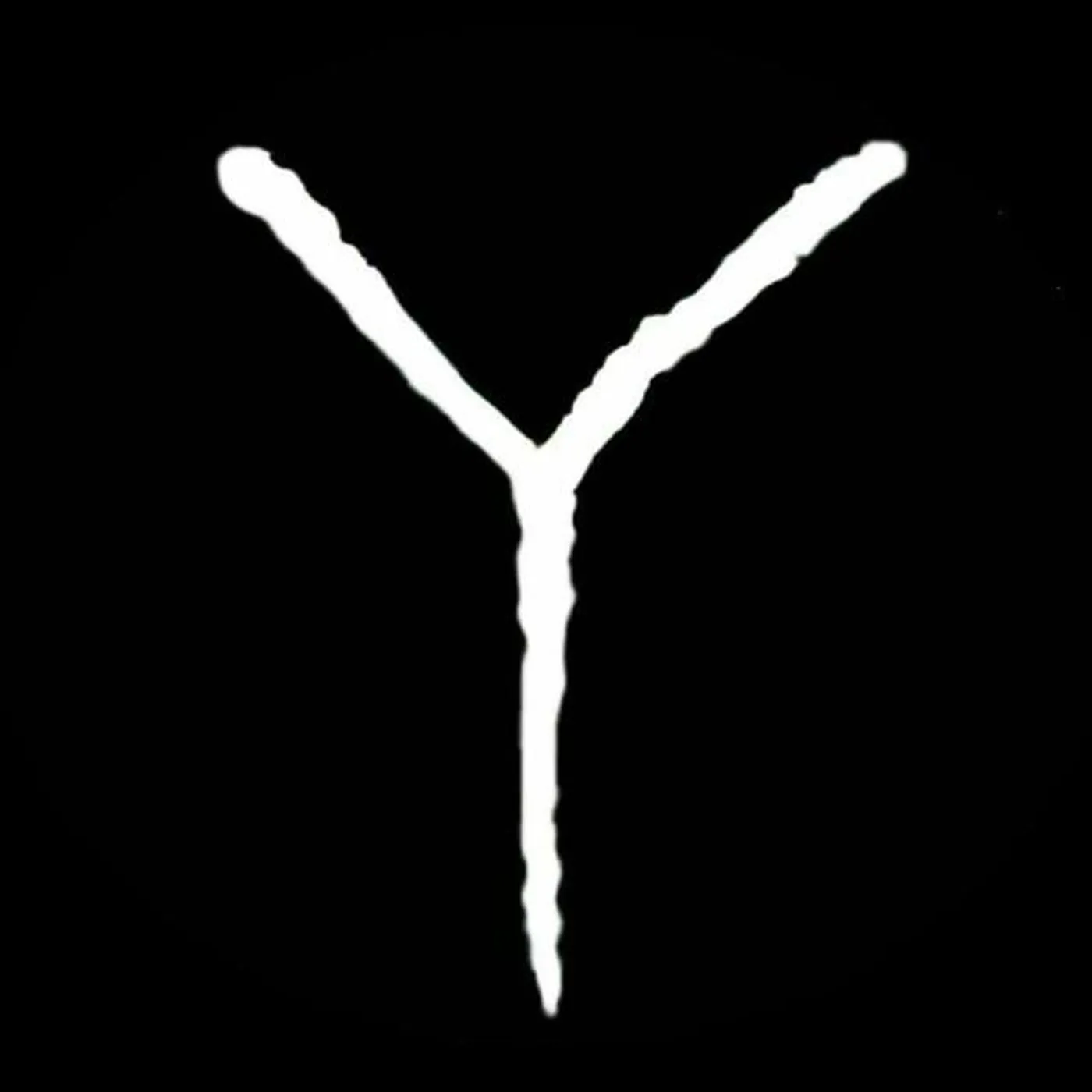 YOKOY