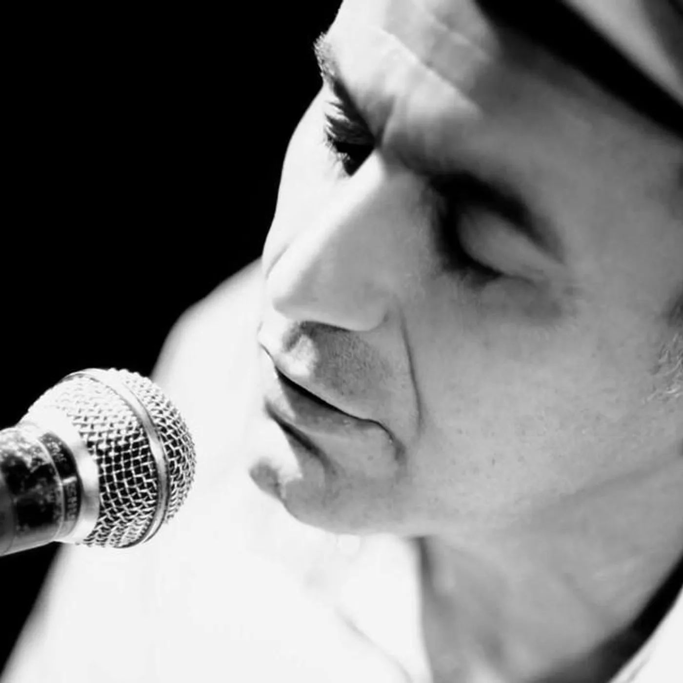 Yossi Babliki Brand Page