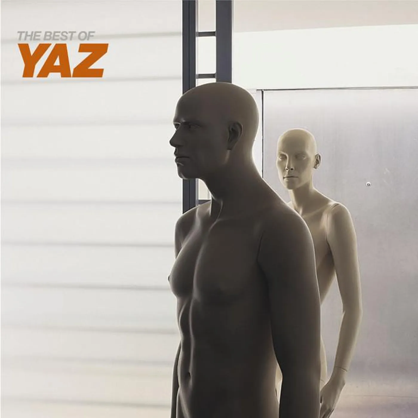 Yaz
