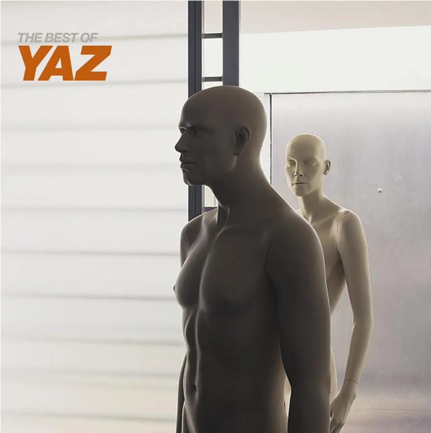 Yaz