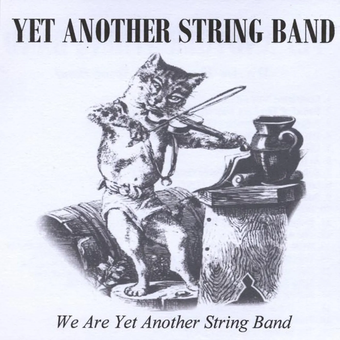 Yet Another String Band Brand Page