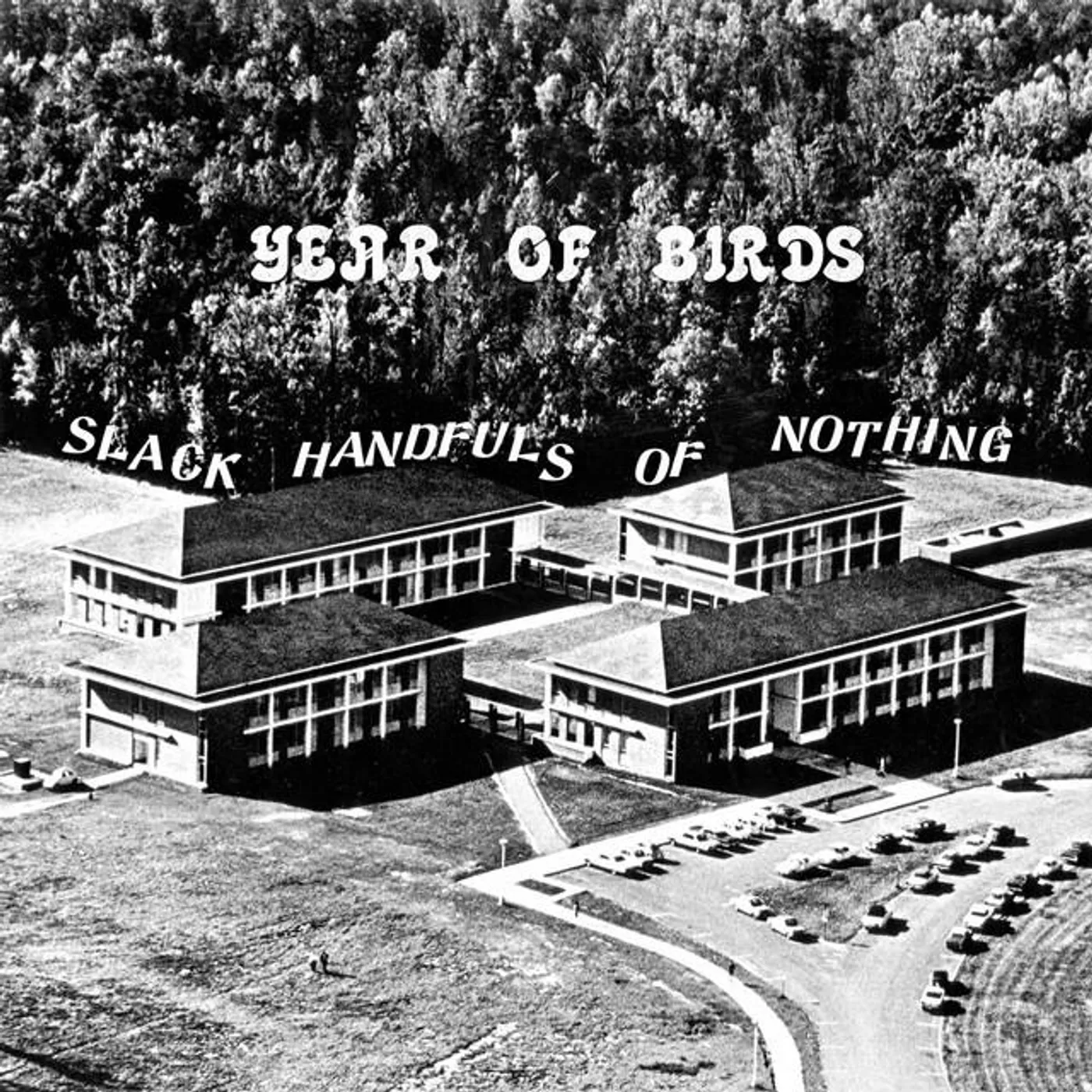 Year Of Birds