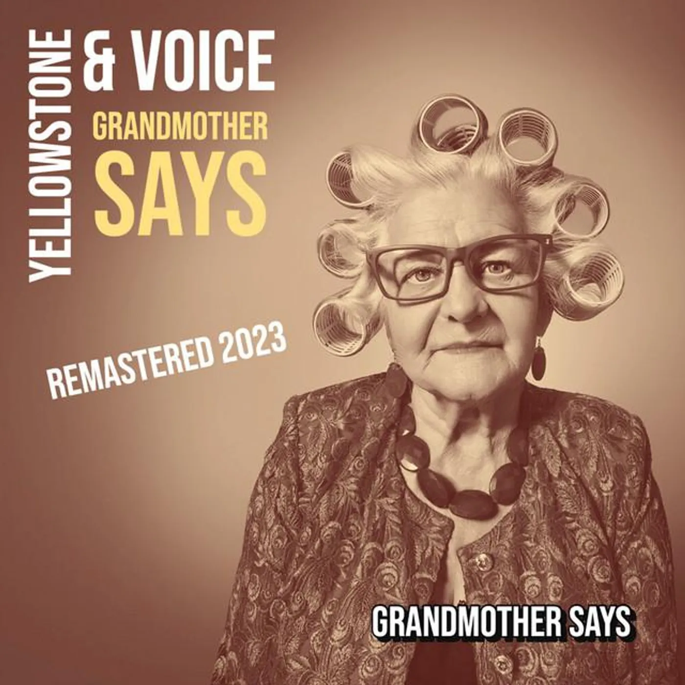 Yellowstone and Voice Brand Page