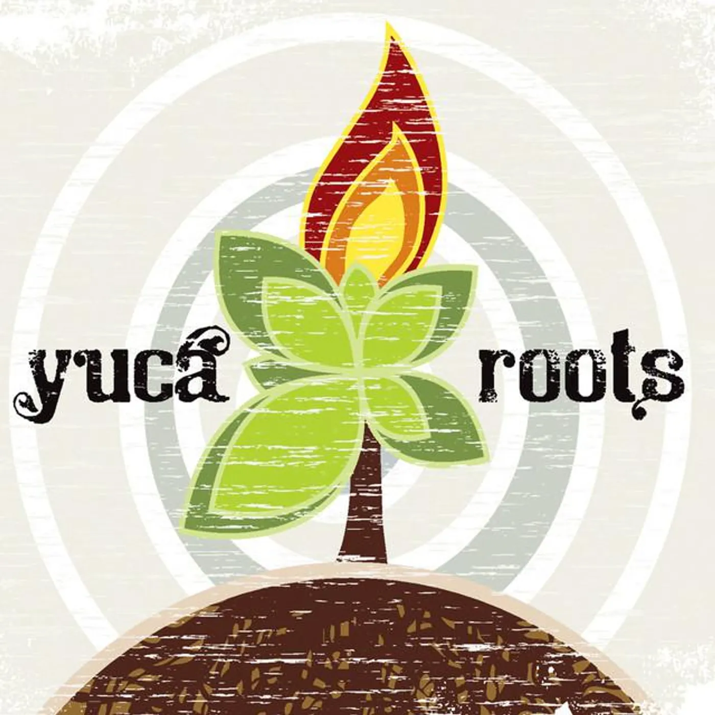 Yuca Roots