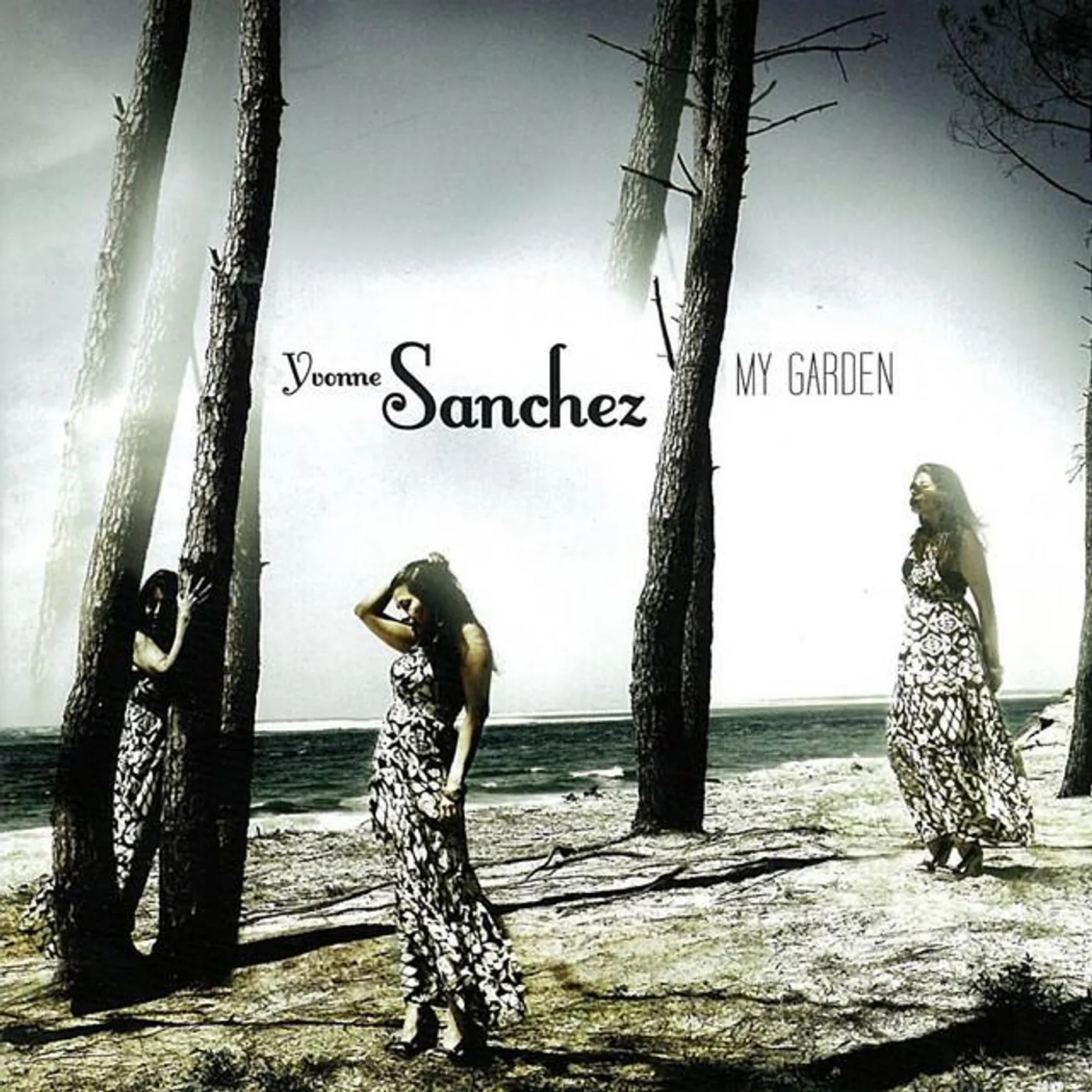 Yvonne Sanchez Brand Page