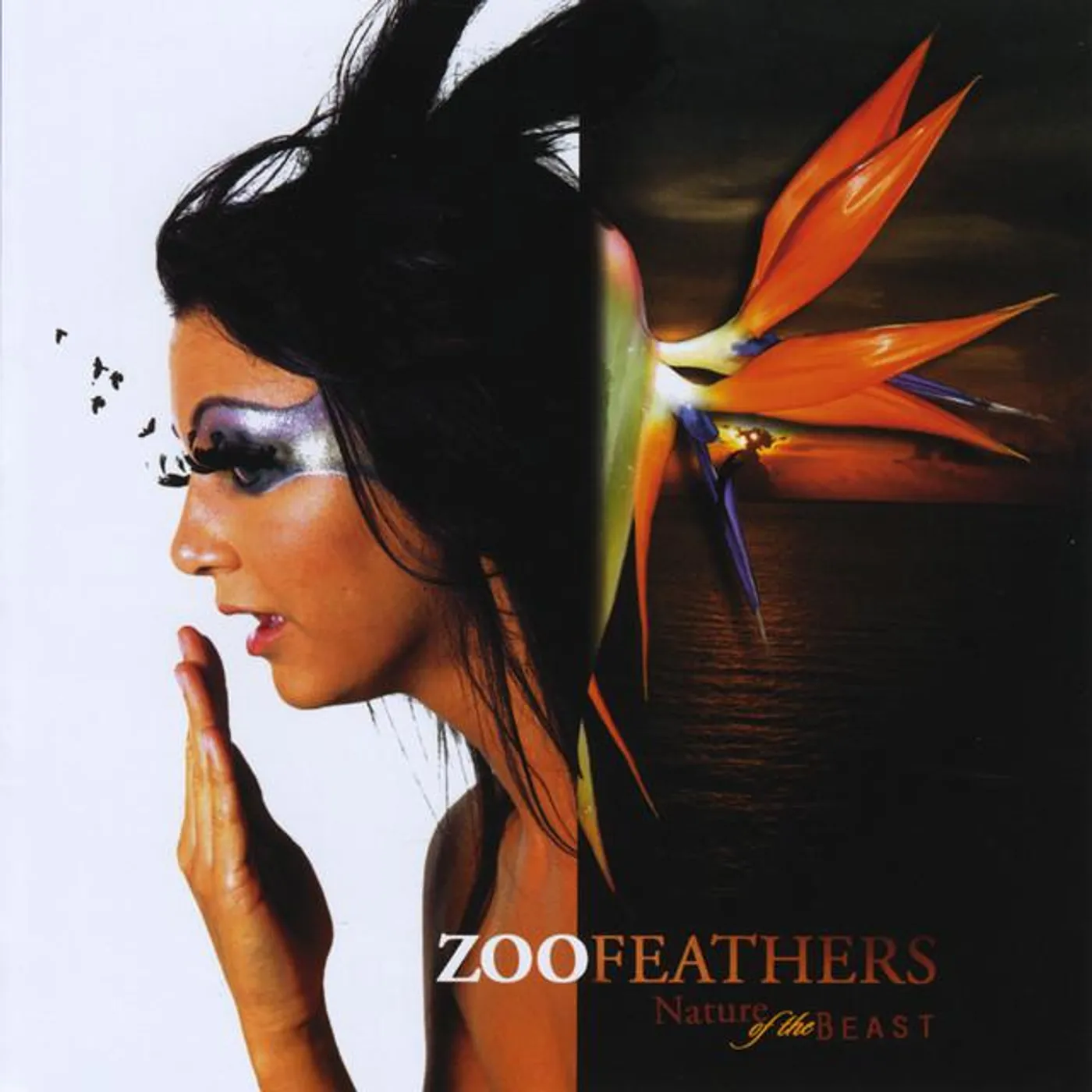 Zoofeathers