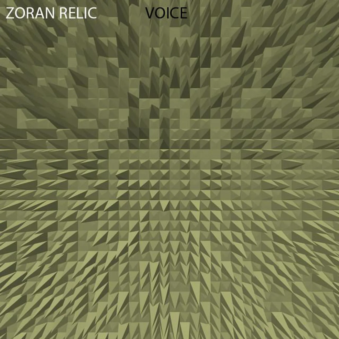Zoran Relic