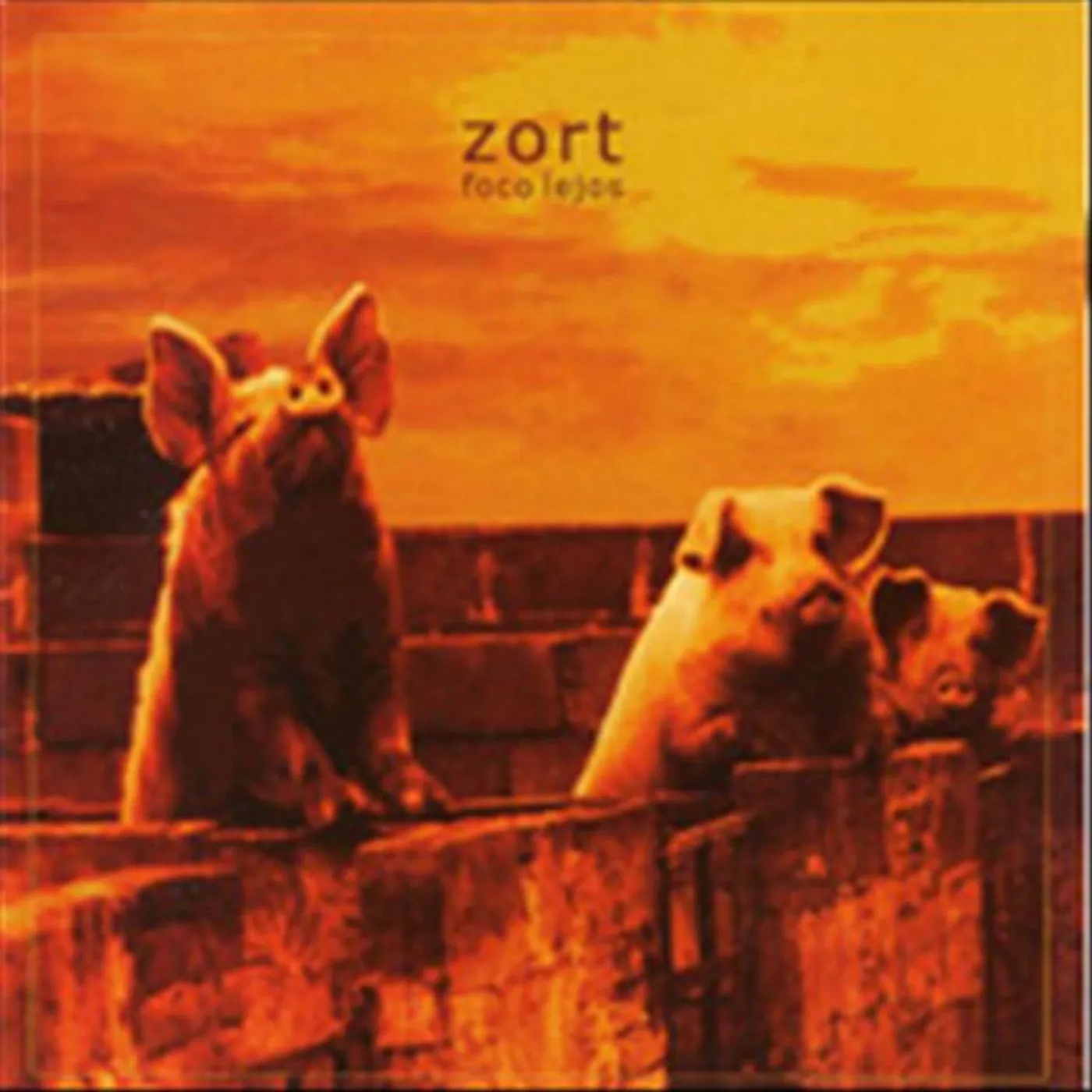 Zort