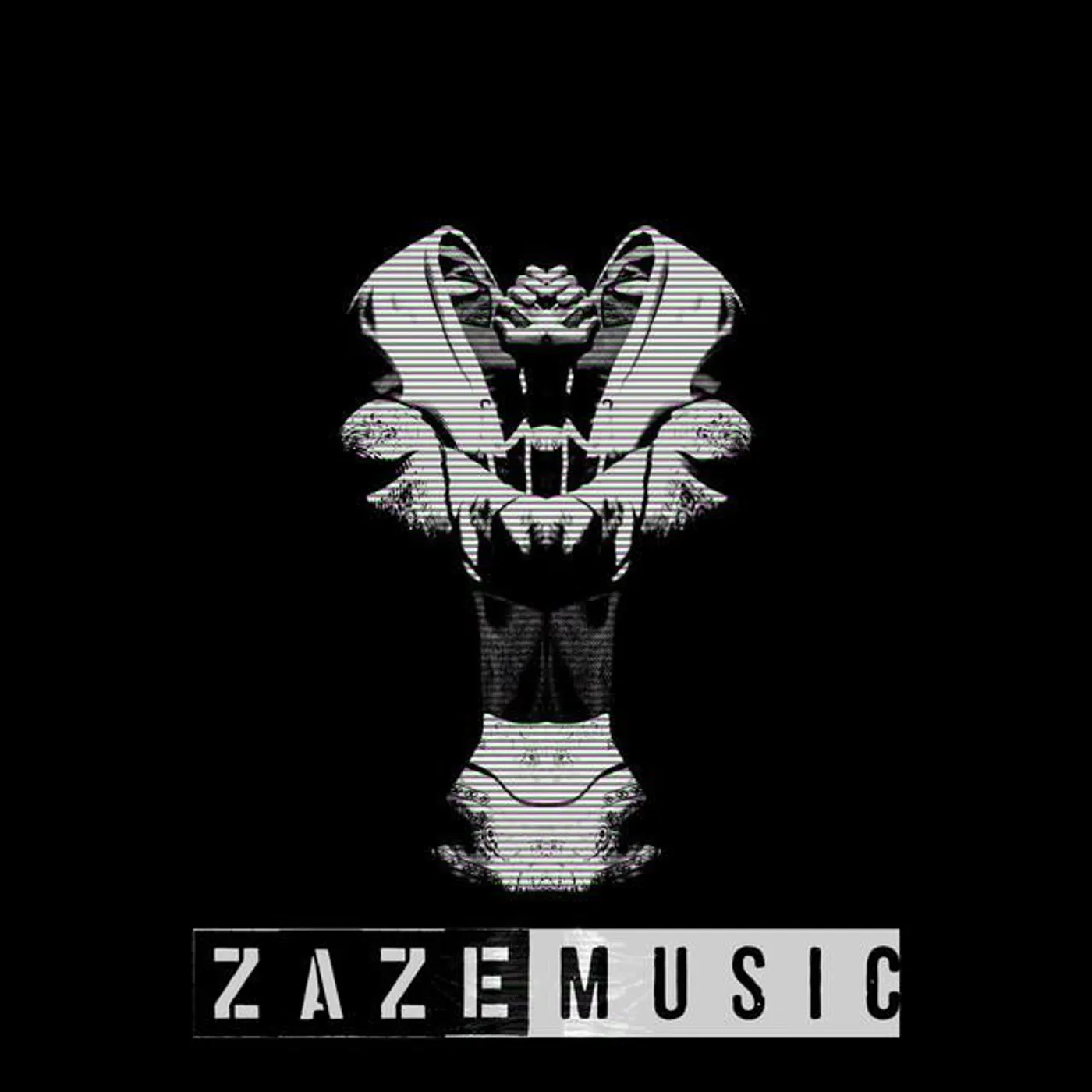 Zaze Brand Page