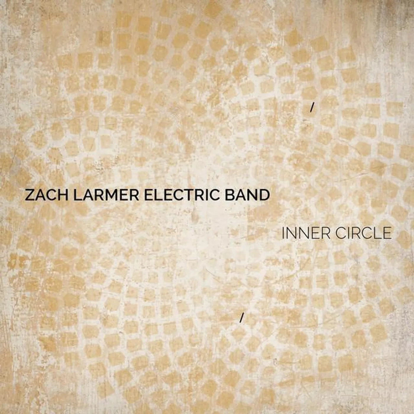 Zach Larmer Electric Band Brand Page