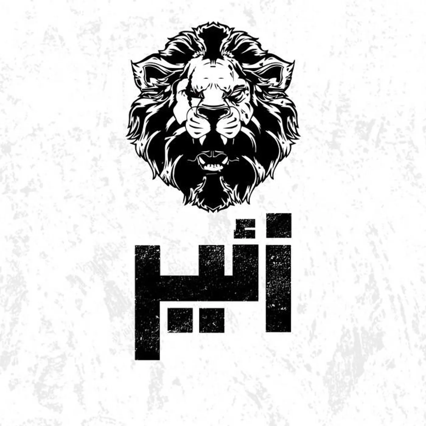 Zaeer Brand Page