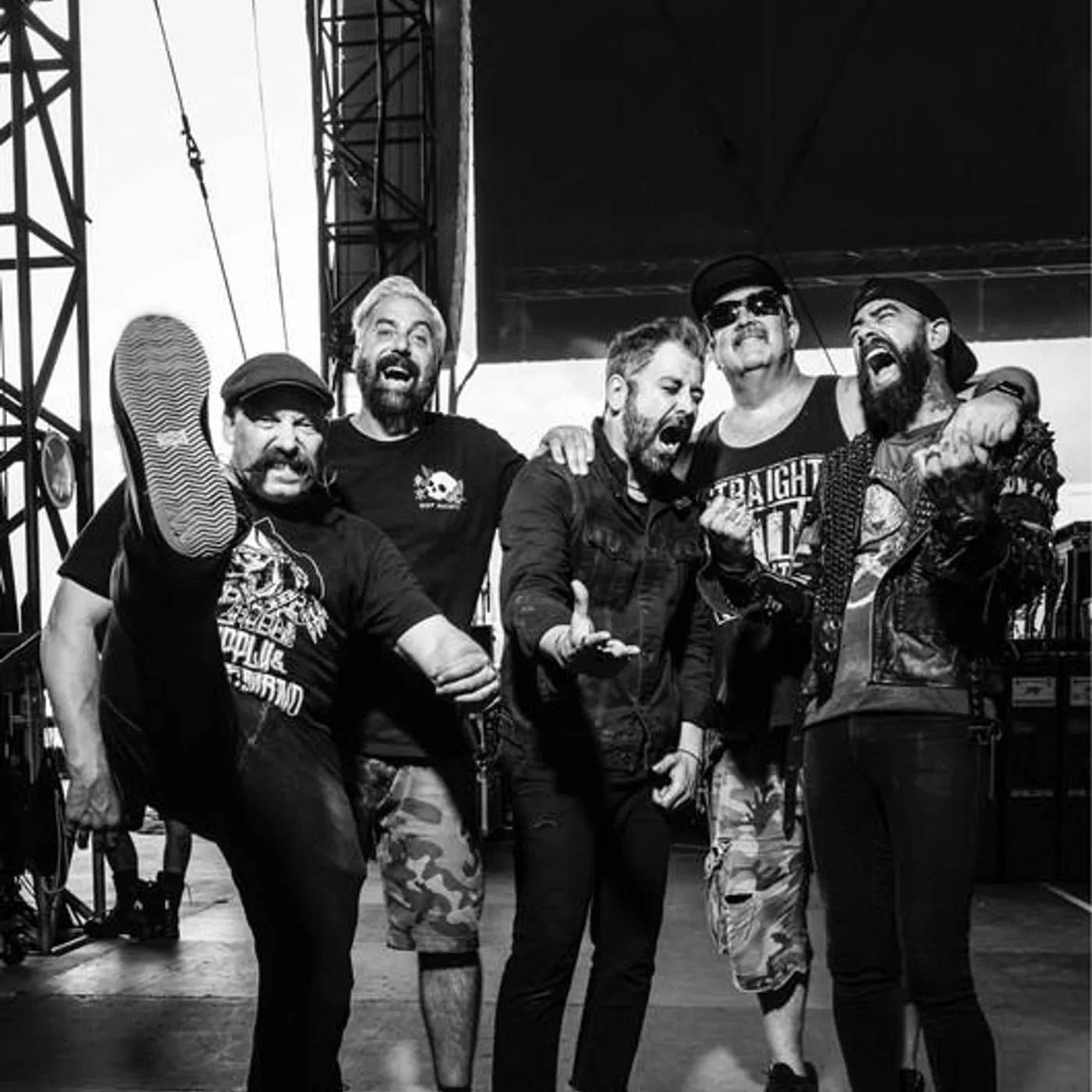 zebrahead