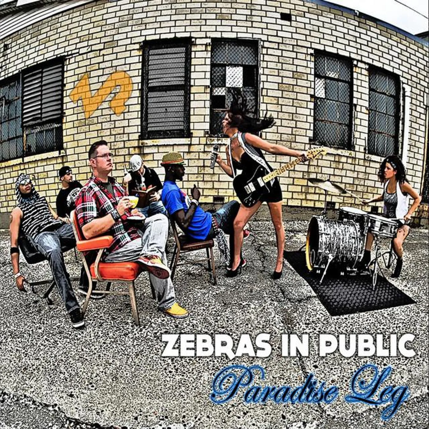 Zebras in Public