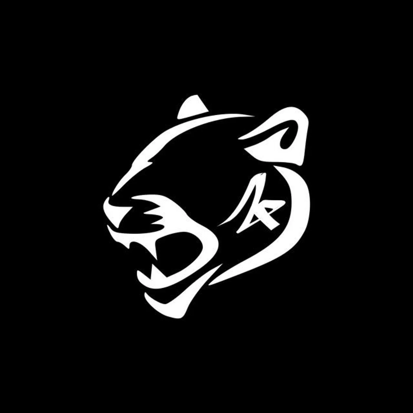 Zein Panzer Store: Official Merch & Vinyl