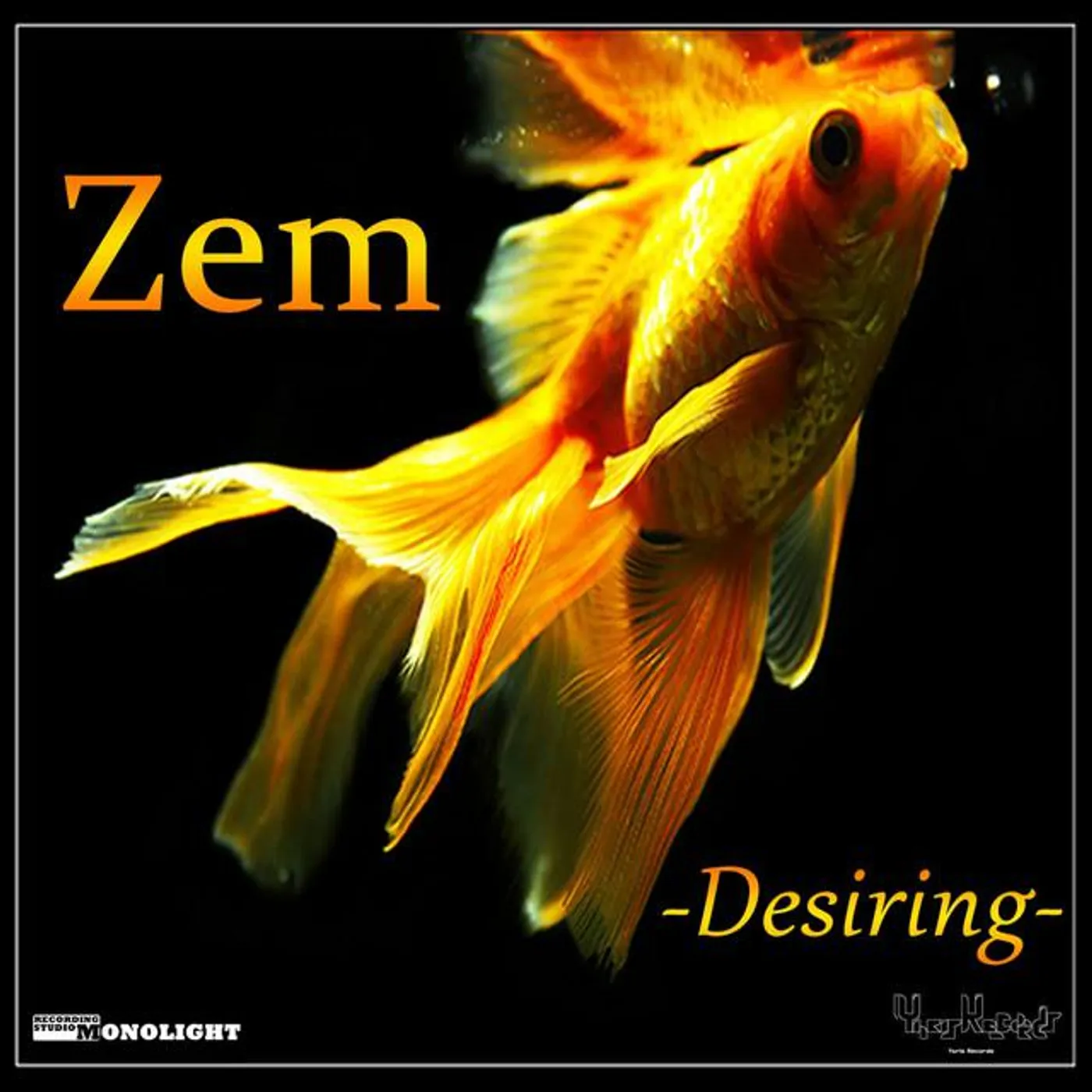 Zem