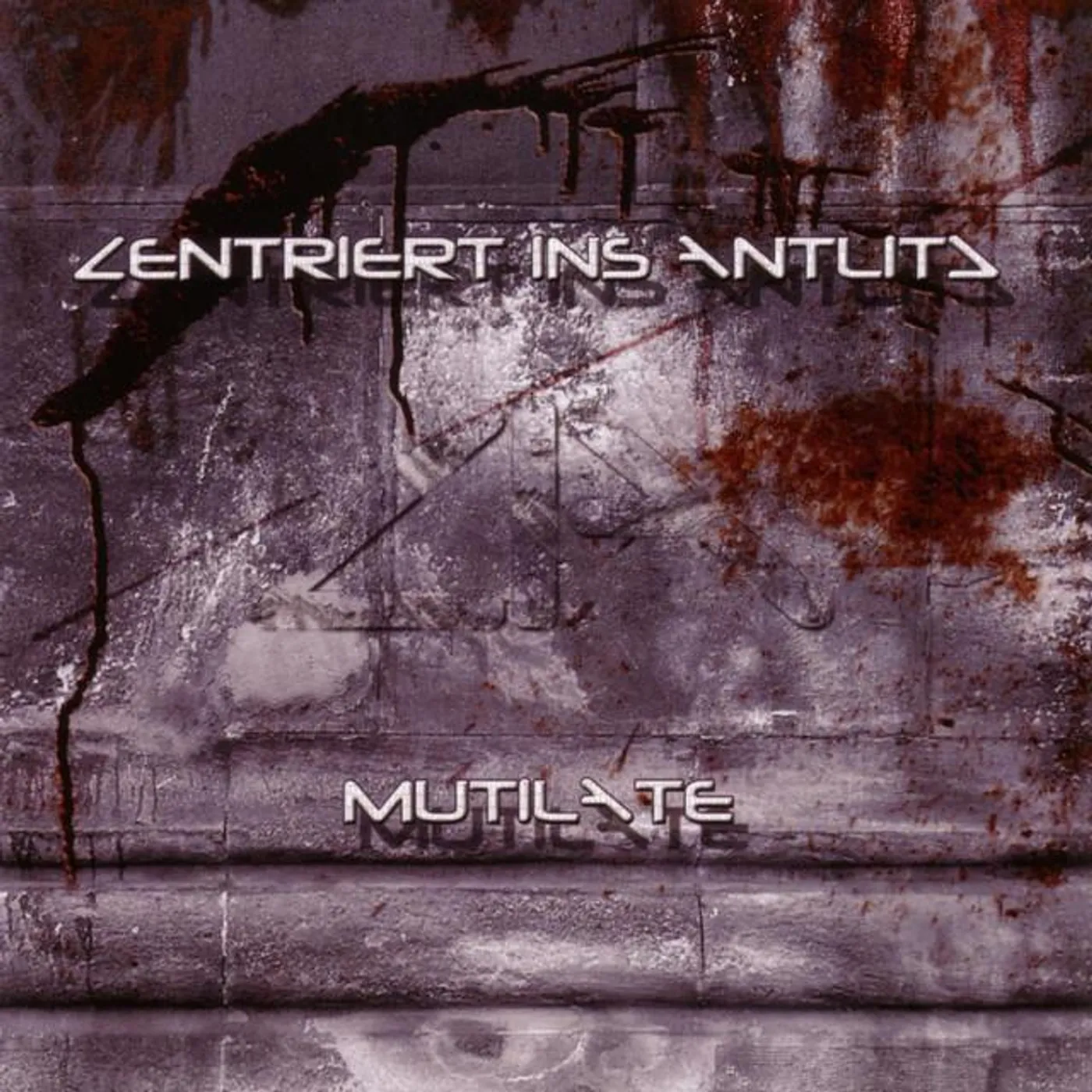 Zentriert Ins Antlitz