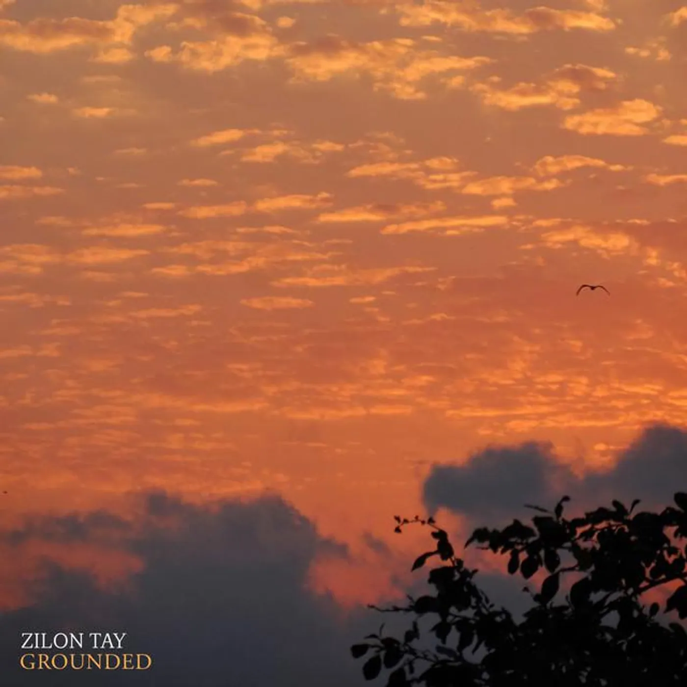 Zilon Tay