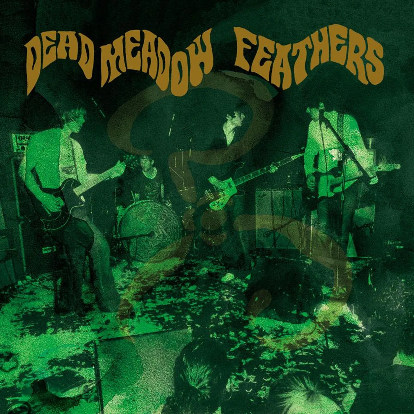 Dead Meadow Feathers CD