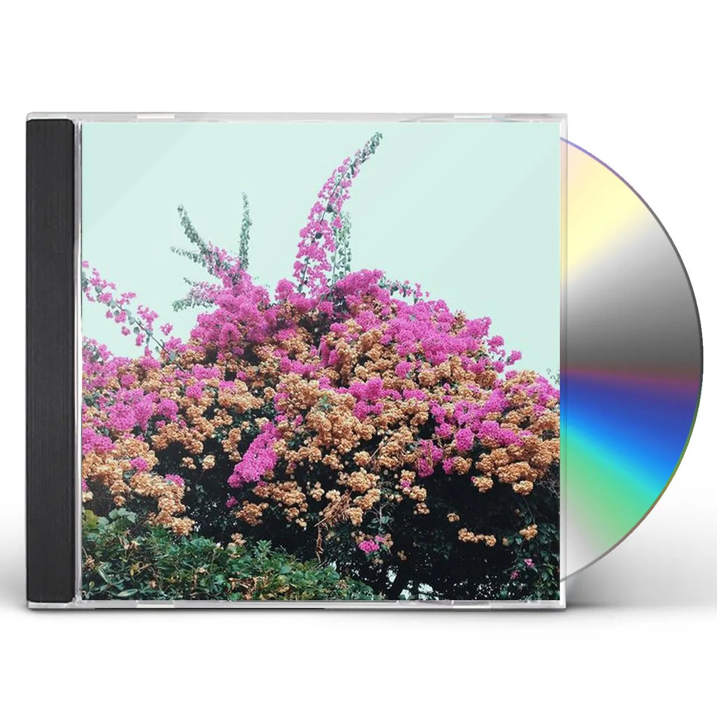 Jay Som TURN INTO CD