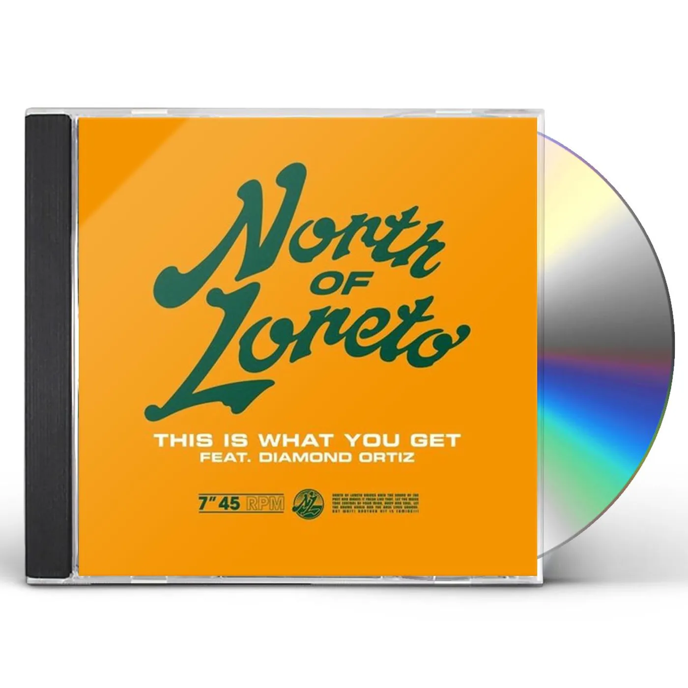 North of Loreto THIS IS WHAT YOU GET Vinyl Record