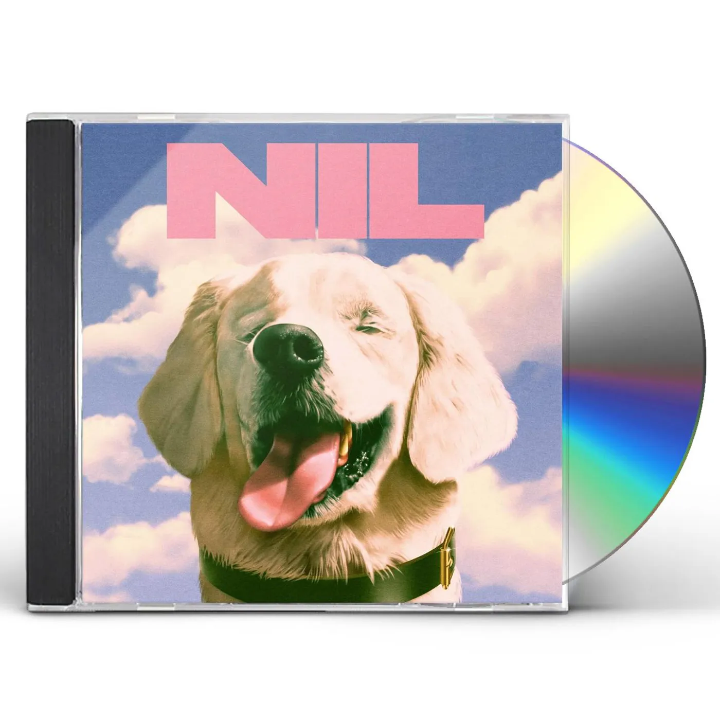 The Dirty Nil FUCK ART CD